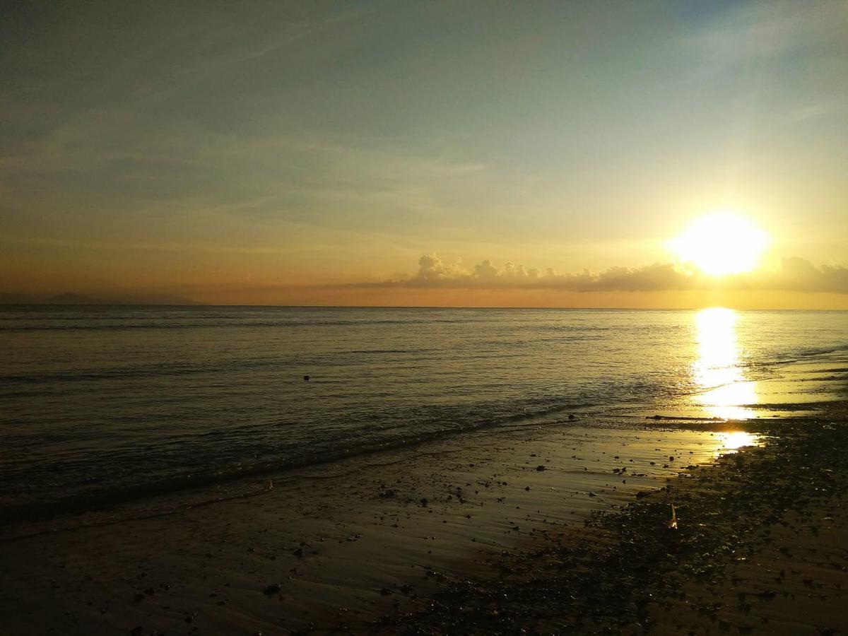 Rama Homestay Ped المظهر الخارجي الصورة